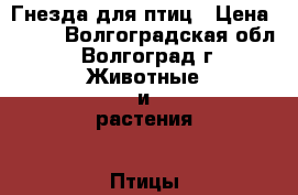 Гнезда для птиц › Цена ­ 100 - Волгоградская обл., Волгоград г. Животные и растения » Птицы   . Волгоградская обл.,Волгоград г.